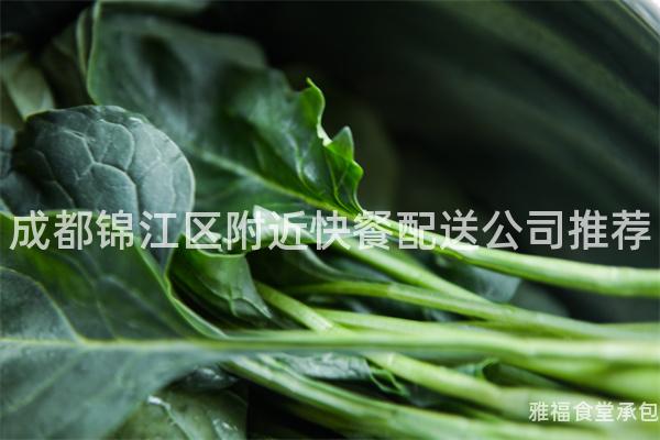 成都錦江區(qū)附近快餐配送公司推薦