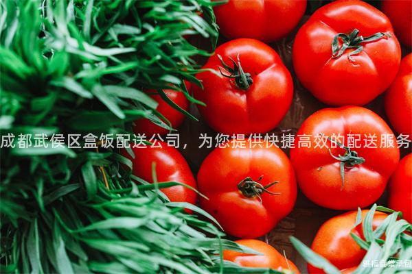 成都武侯區盒飯配送公司，為您提供快捷高效的配送服務