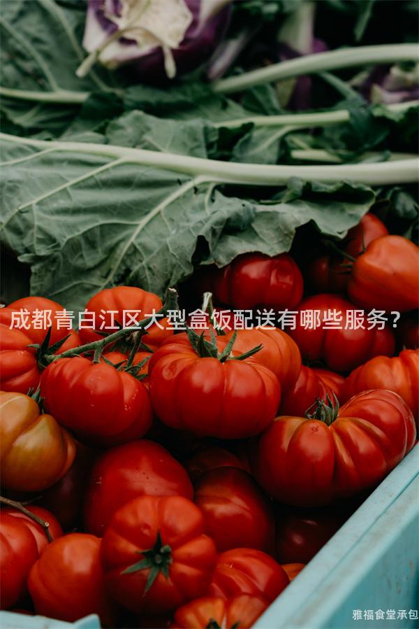 成都青白江區大型盒飯配送有哪些服務？