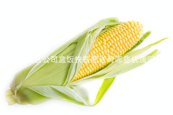 成都錦江區公司盒飯快餐配送有哪些優質服務？