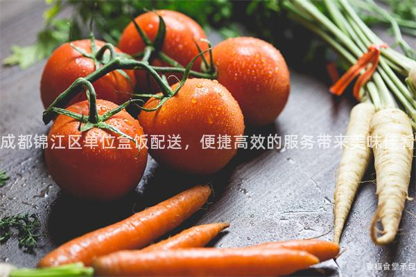 成都錦江區單位盒飯配送，便捷高效的服務帶來美味佳肴