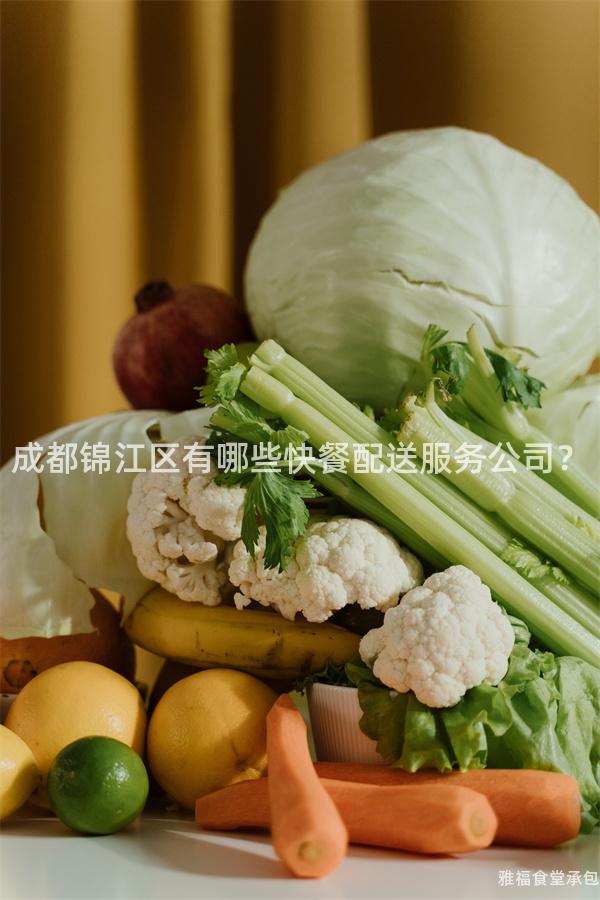 成都錦江區有哪些快餐配送服務公司？