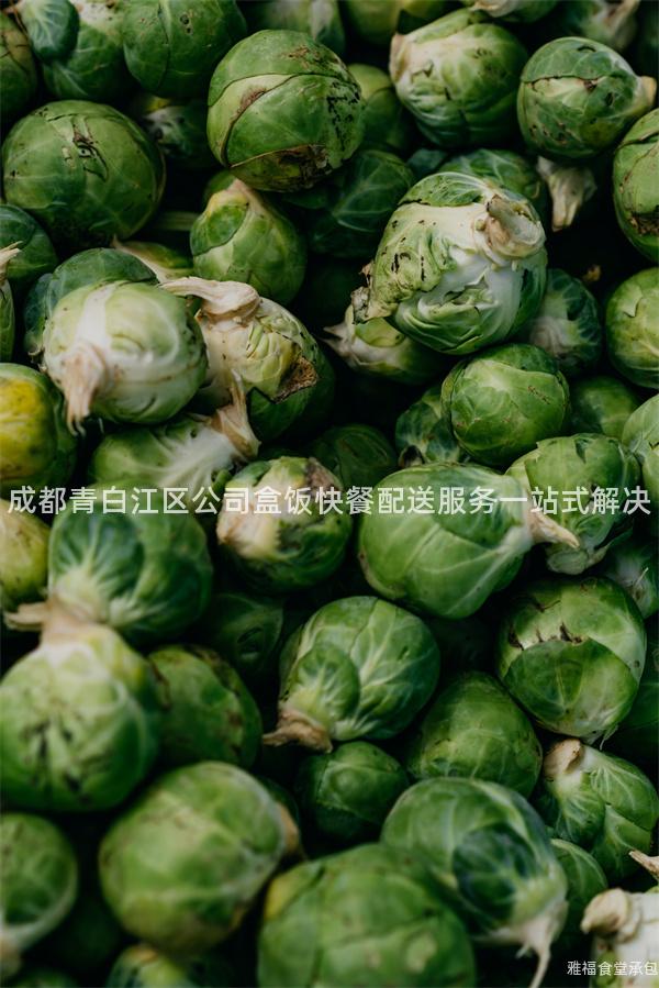 成都青白江區公司盒飯快餐配送服務一站式解決