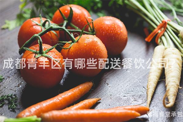 成都青羊區有哪些配送餐飲公司？