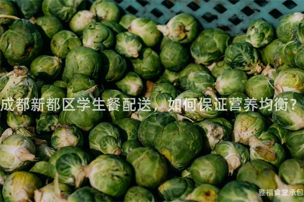 成都新都區(qū)學(xué)生餐配送，如何保證營(yíng)養(yǎng)均衡？
