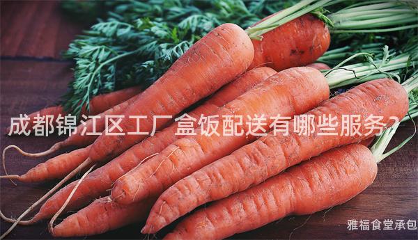 成都錦江區工廠盒飯配送有哪些服務？