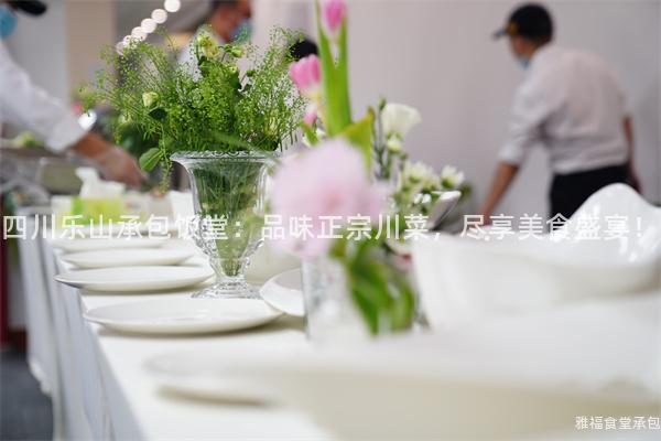 四川樂(lè)山承包飯?zhí)茫浩肺墩诖ú耍M享美食盛宴！