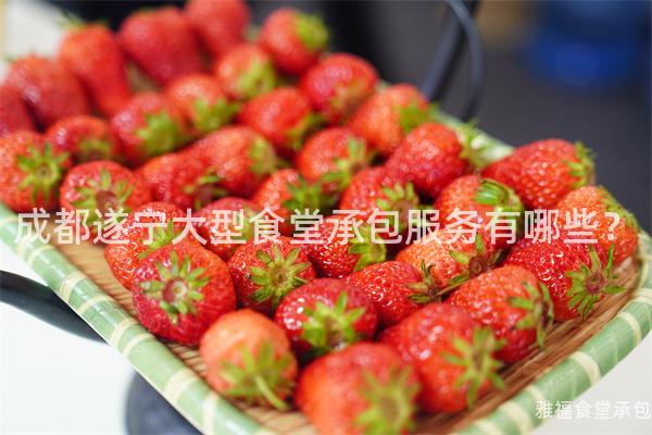 成都遂寧大型食堂承包服務有哪些？