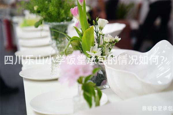 四川樂山小學飯堂承包的情況如何？