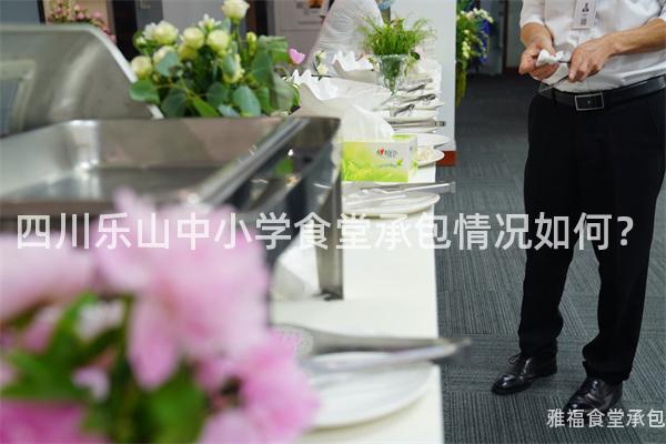四川樂山中小學食堂承包情況如何？